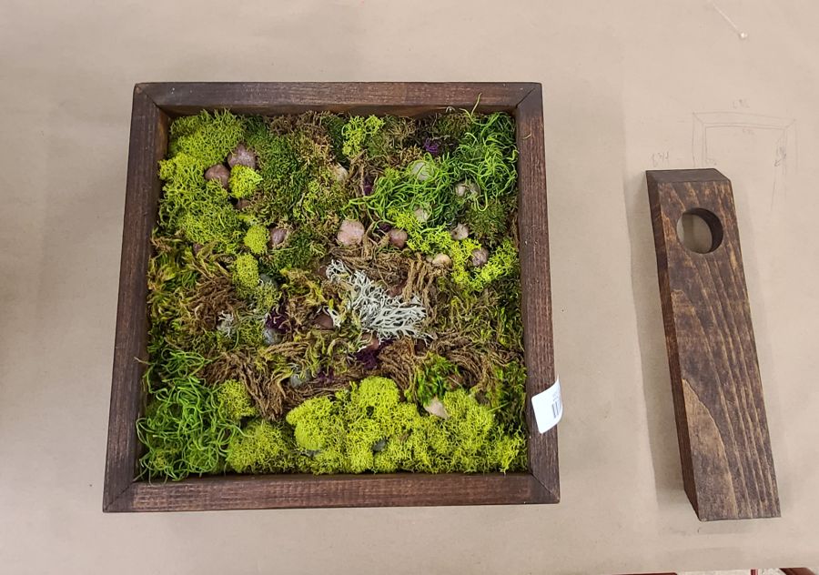 A framed moss wall with a wine-bottle holder built into it